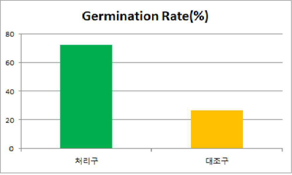 기술사진