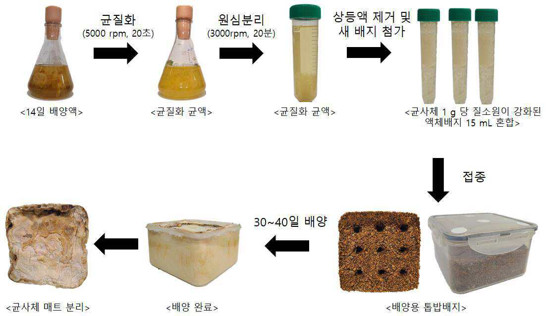 기술사진